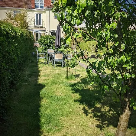 The British Scooterist *